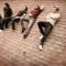 August Burns Red