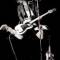 Dee Dee Ramone