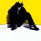 Dizzee Rascal
