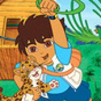 Go Diego Go