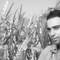 Hossam Habib