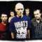 Midnight Oil