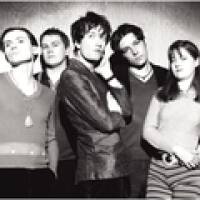 Pulp