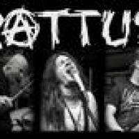 Rattus