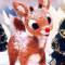 Rudolph
