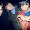 The Cribs