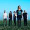The Maine