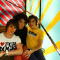 The Wombats