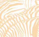Beach House - Teen Dream