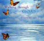 Bernward Koch - Walking Through Clouds