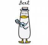 Bert - Bert