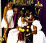 Big Daddy Kane - Long Live the Kane