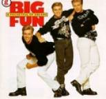 Big Fun - 20 Hits Of The 80`s