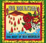 Big Mountain - The Best of Big Mountain