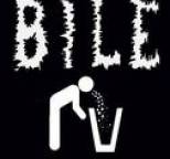 Bile - Regurge:a Bucket of Bile (Best Of........)