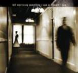 Bill Morrissey - Something I Saw or Thought I Saw