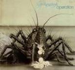 Birth Control - Operation