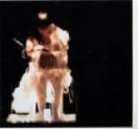 Bj�rk - Vespertine Live
