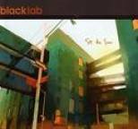 Black Lab - See The Sun