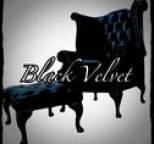 Black Velvet - Black Velvet