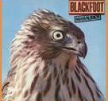 Blackfoot - Marauder