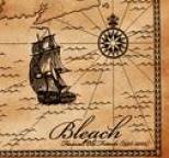 Bleach - Farewell Old Friends