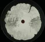 Bleak - Ekko EP