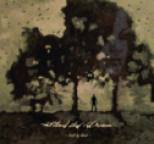 Bleed The Dream - Built By Blood