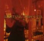 Bleeding Through - Dust to Ashes