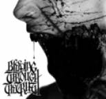Bleeding Through - The Truth