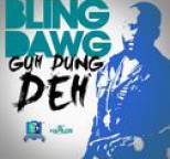 Bling Dawg - Guh Dung Deh - Single