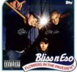 Bliss N Eso - Flowers in the Pavement
