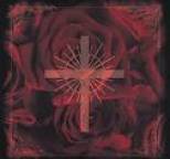 Blood - 1st PERIOD DX