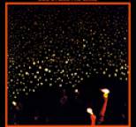 Bob Dylan and The Band - Before The Flood