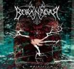 Borknagar - Empiricism