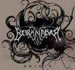 Borknagar - Origin