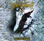Borknagar - The Olden Domain
