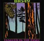 BR5-49 - Tangled in the Pines