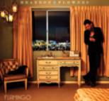 Brandon Flowers - Flamingo