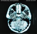 Breaking Benjamin - Dear Agony