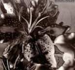 Breathless - Between Happiness and Heartache