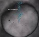 Brendan Perry - Eye of the Hunter