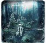 Brightwood - Wake