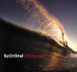 Buckethead - Electric Sea