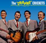 Buddy Holly - The 