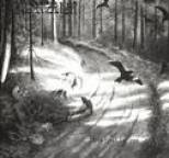 Burzum - Hvis Lyset Tar Oss