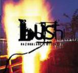 Bush - Razorblade Suitcase