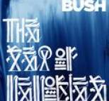 Bush - The Sea of Memories