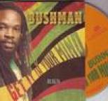Bushman - Get It In Your Mind