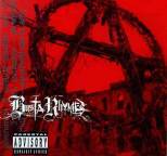 Busta Rhymes - Anarchy